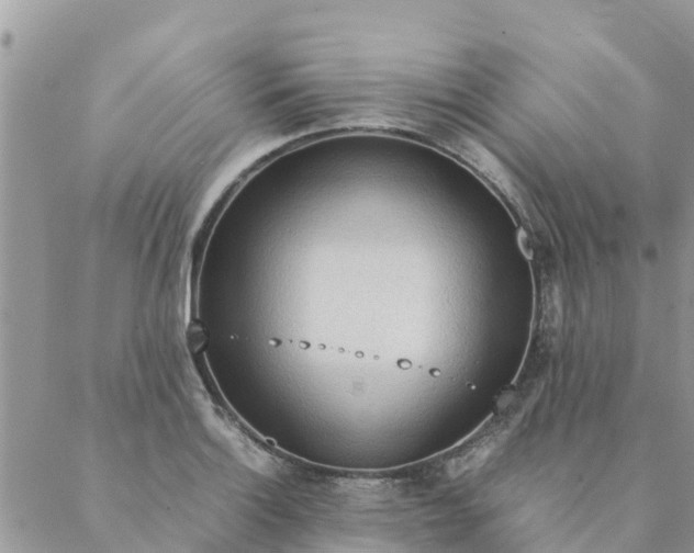 X0000087311132200705041643