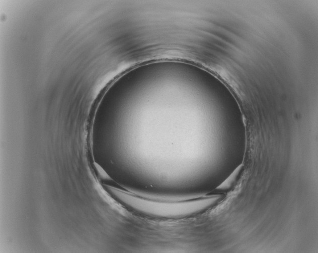 X0000087311134200705041643