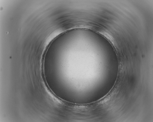 X0000087311135200705041643