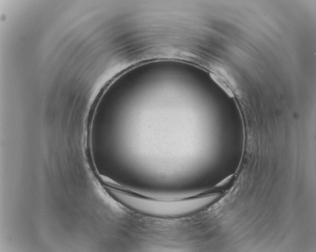 X0000087311136200705041643