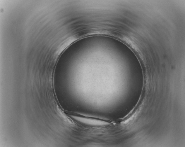 X0000087311137200705041643