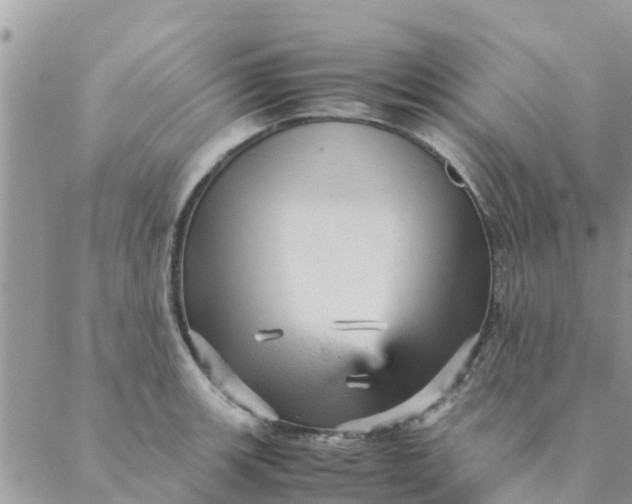 X0000087311139200705041643