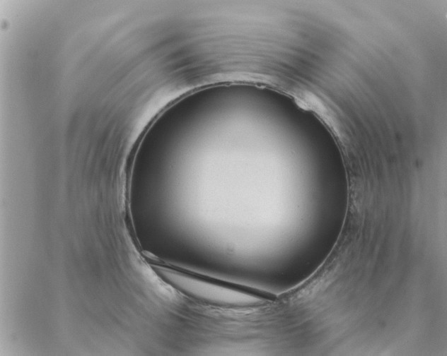 X0000087311140200705041643