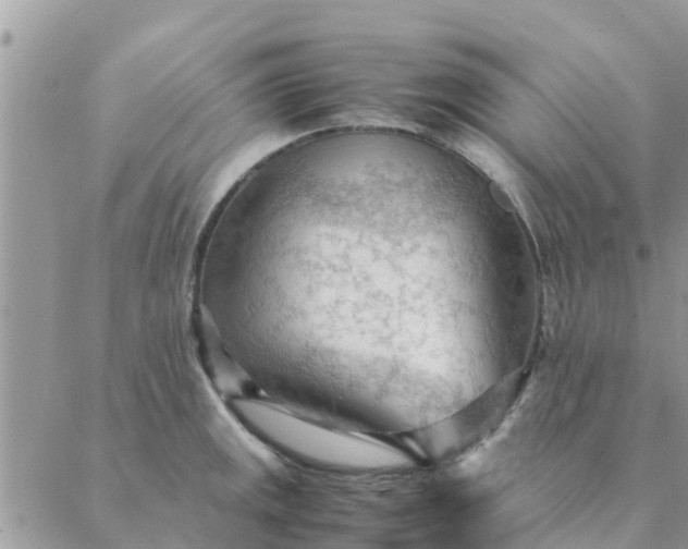 X0000087311141200705041643