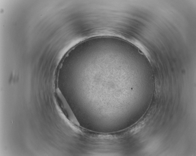 X0000087311142200705041643