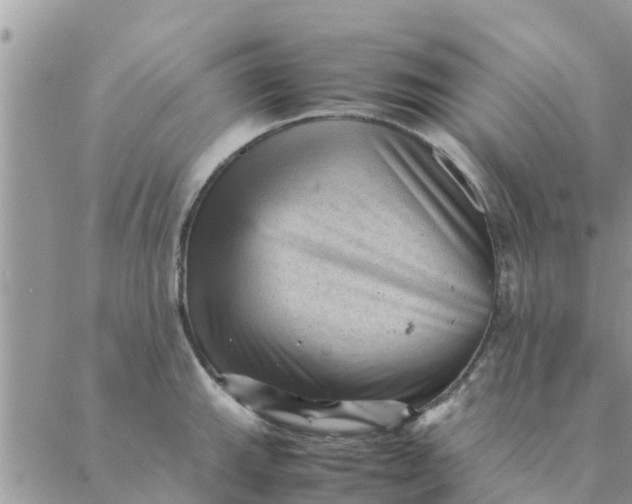 X0000087311143200705041643