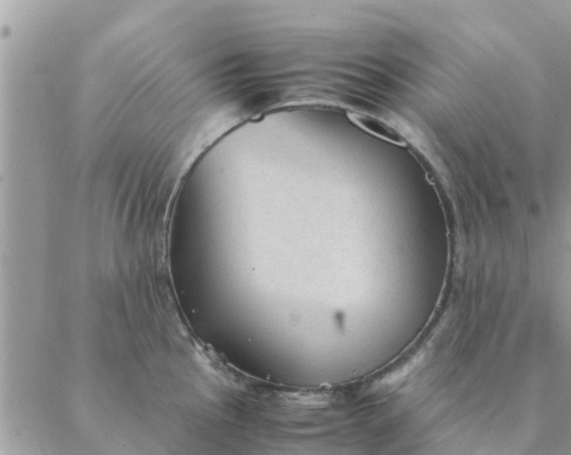 X0000087311145200705041643