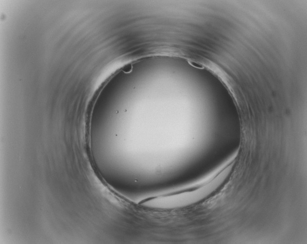 X0000087311147200705041643