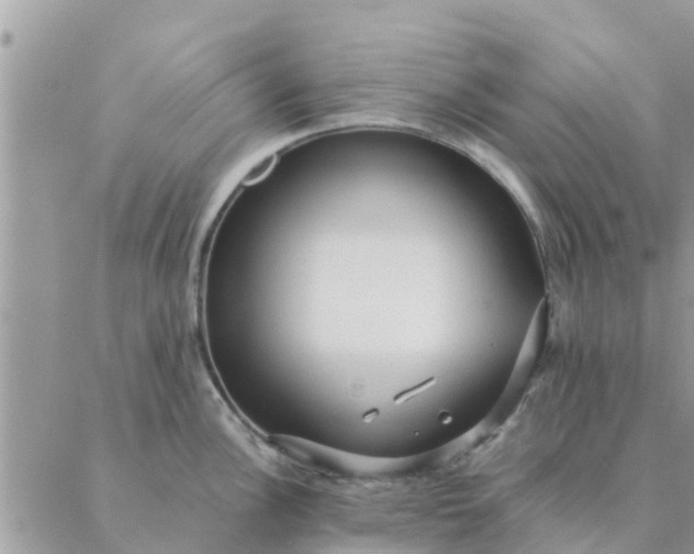 X0000087311148200705041643