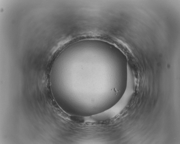 X0000087311160200705041642