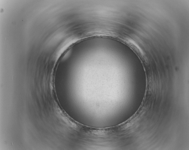 X0000087311182200705041642