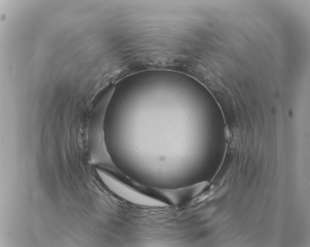 X0000087311202200705041641