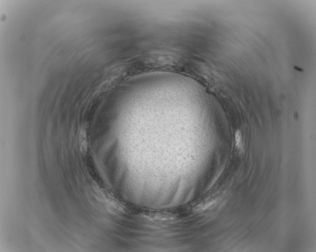 X0000087311203200705041641