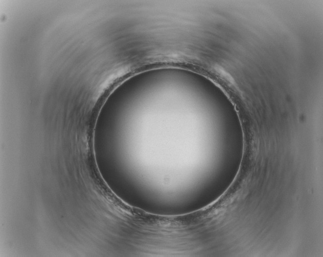 X0000087311218200705041641
