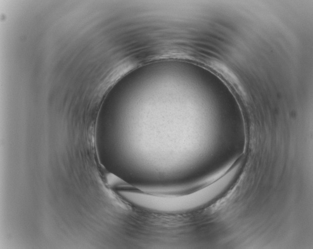 X0000087311241200705041641