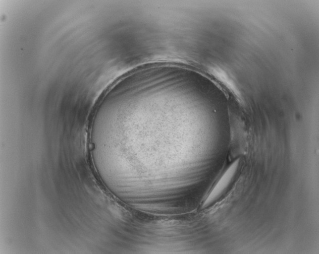 X0000087311268200705041640