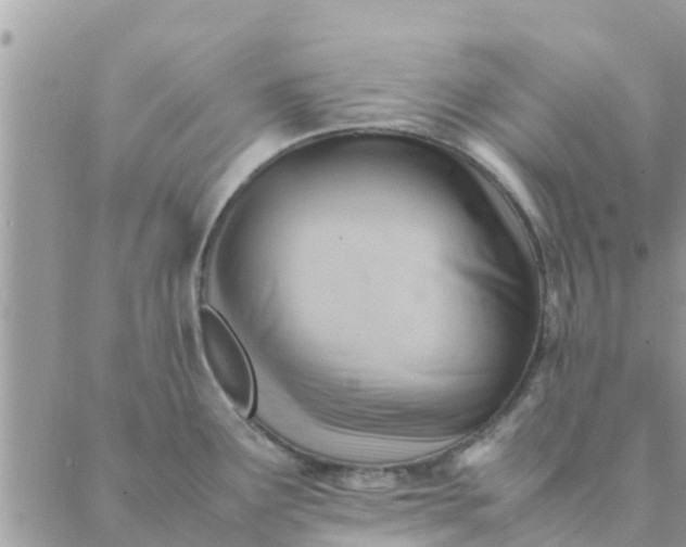 X0000087311291200705041640