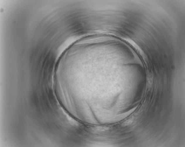 X0000087311294200705041640