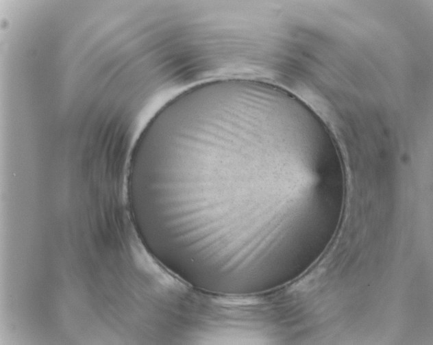 X0000087311296200705041640