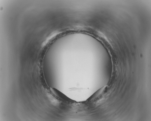 X0000087311304200705041639