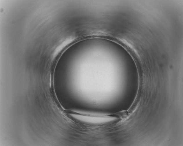X0000087311317200705041639