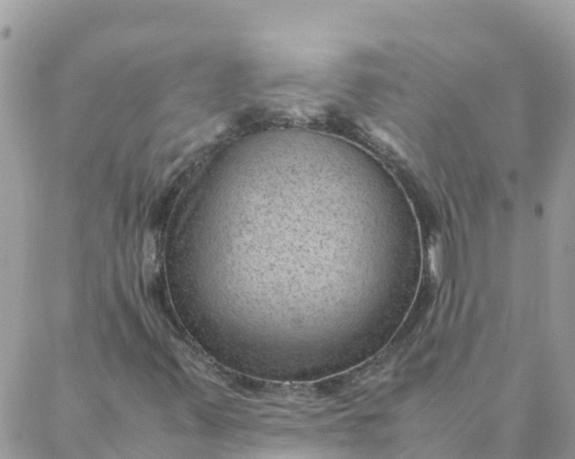 X0000087311347200705041639