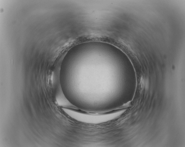 X0000087311348200705041639