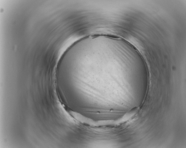 X0000087311392200705041638