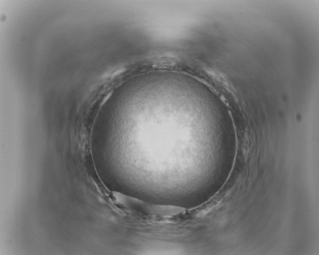 X0000087311445200705041637
