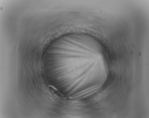 X0000087311490200705041636