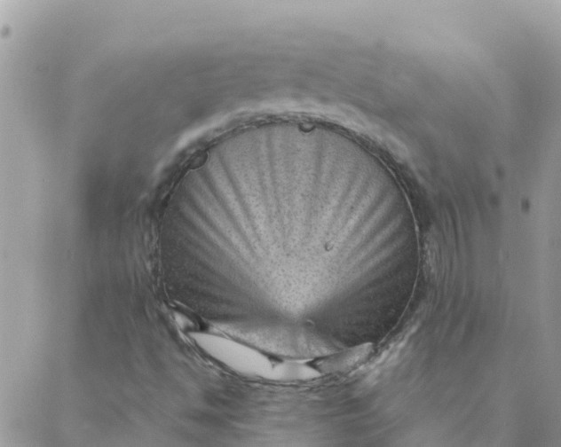 X0000087311494200705041636