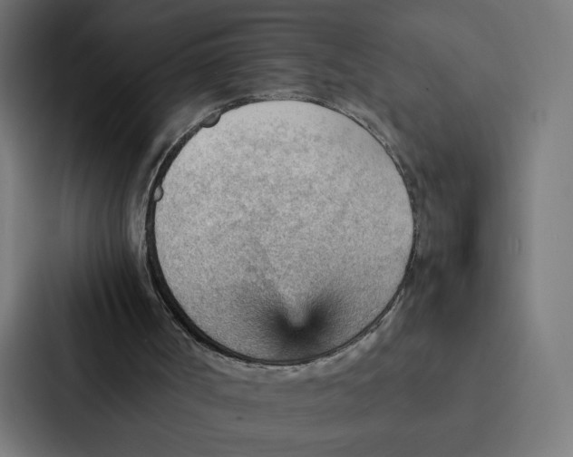 X0000087310002200705112126