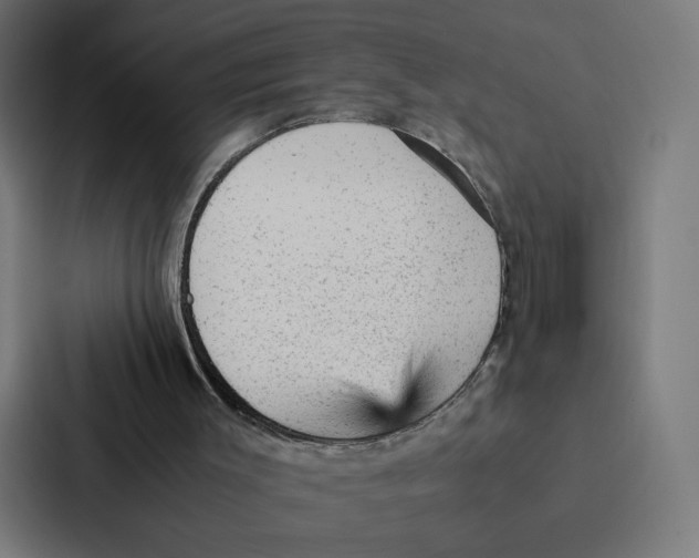 X0000087310003200705112126