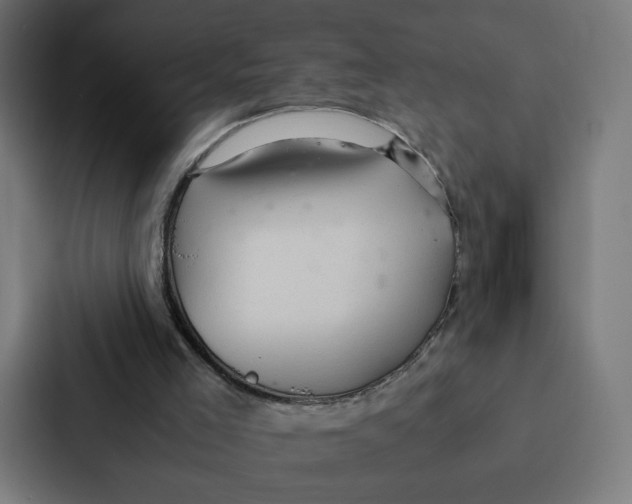 X0000087310005200705112126