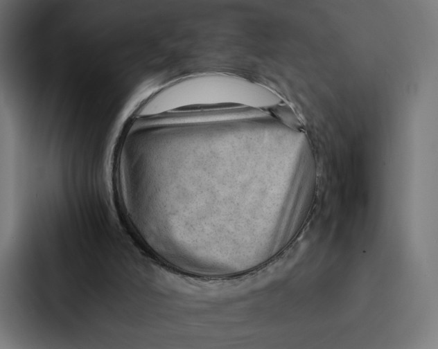 X0000087310006200705112126