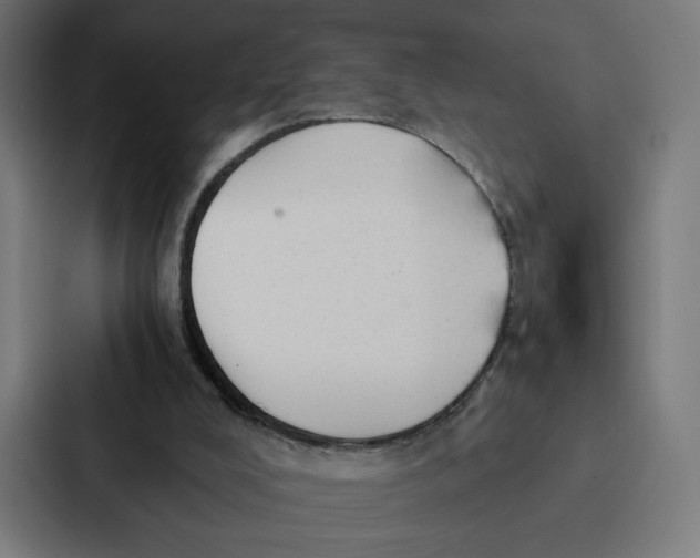 X0000087310008200705112126