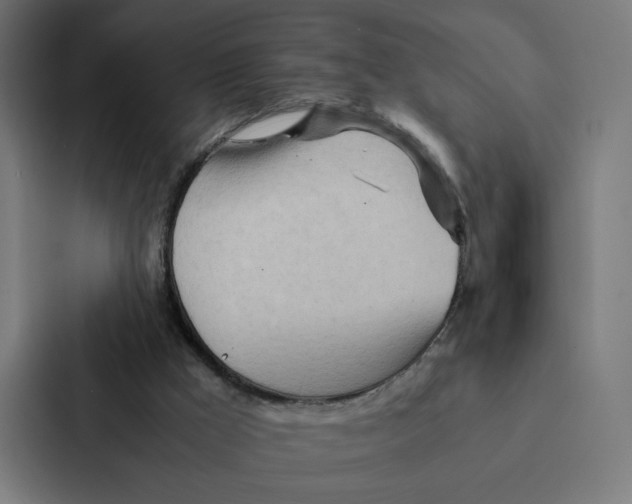 X0000087310009200705112126