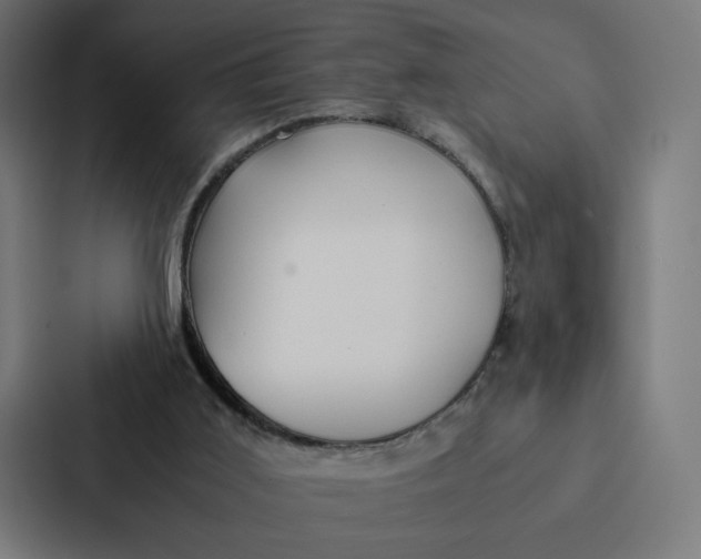 X0000087310011200705112126