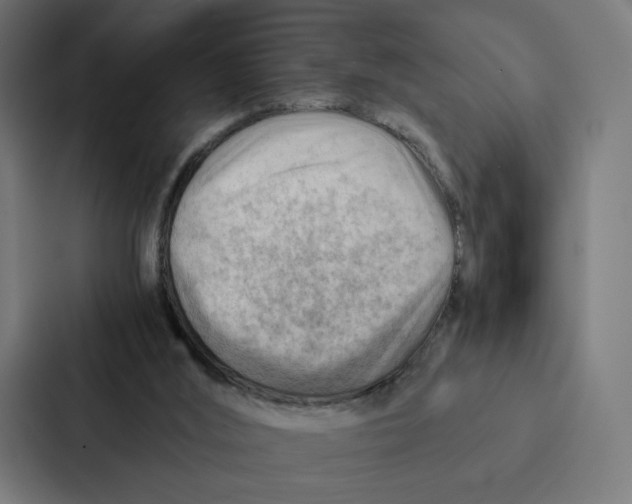 X0000087310012200705112126