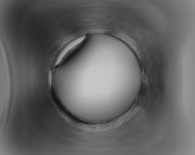 X0000087310013200705112126