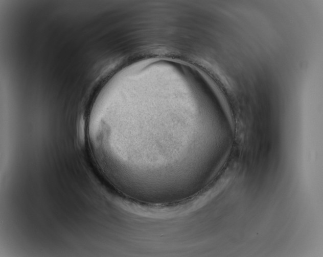 X0000087310014200705112126