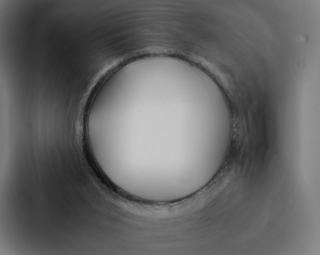 X0000087310015200705112126