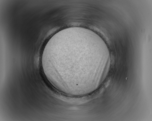 X0000087310016200705112126