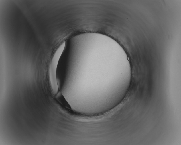 X0000087310017200705112126