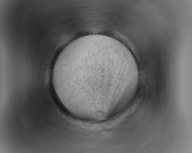 X0000087310018200705112126