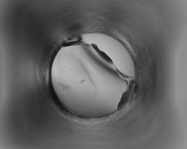 X0000087310019200705112126