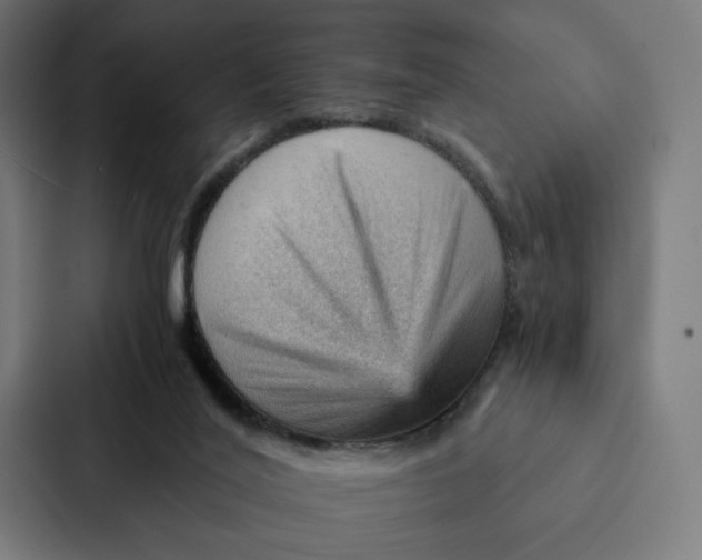 X0000087310020200705112126