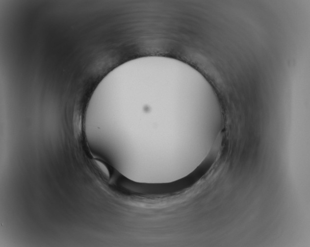 X0000087310021200705112126