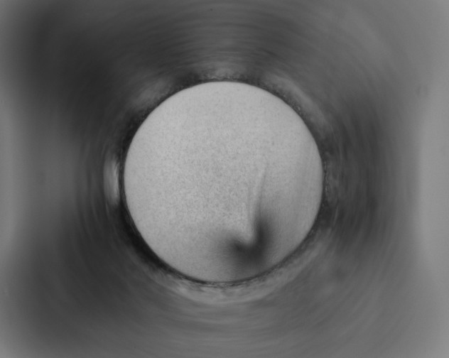 X0000087310022200705112126