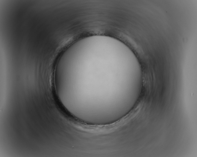 X0000087310023200705112126